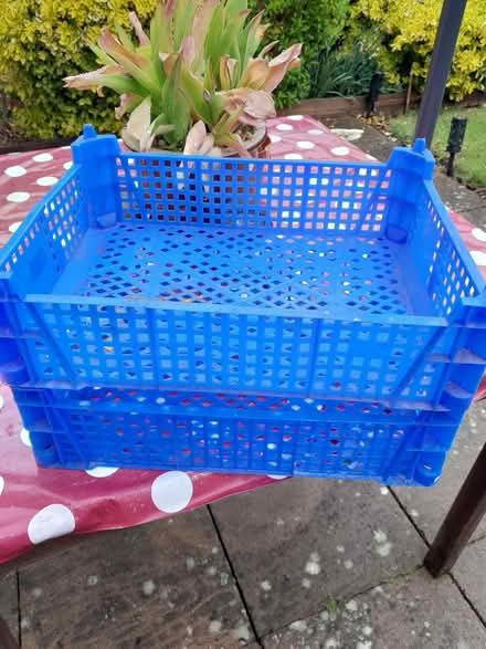 Photo of free Fruit crates (The Grange Estate SG6) #1