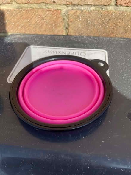 Photo of free Collapsible / Portable dog bowl (small) (Caversham Park RG4) #1