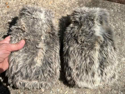 Photo of free Small water bottles in fury cases (Houndean Bottom BN7) #2