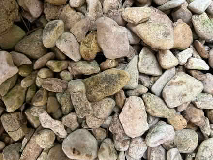Photo of free Garden stones (Bicester OX26) #1