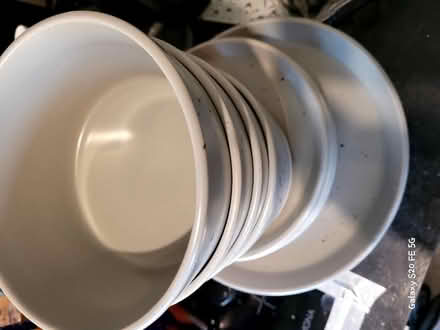 Photo of free Dinner plates & bowls (BS34 (Stoke Gifford)) #2