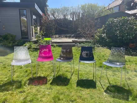 Photo of free Dining chairs. Calligaris (Bromley BR2) #1