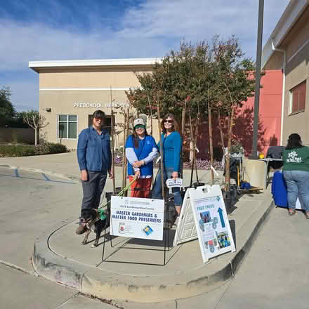Photo of free Trees (San Bernardino. May 10) (Baker Family Learning Center) #1