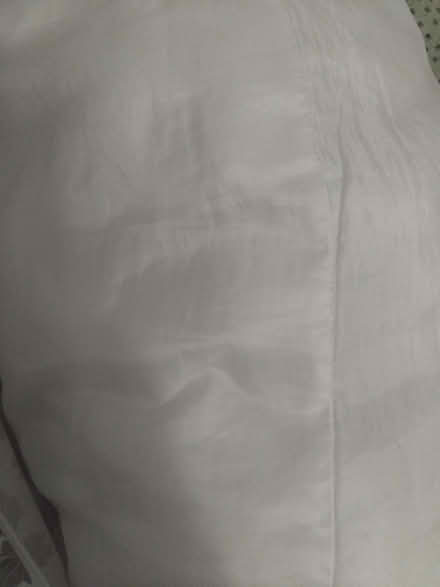 Photo of free Big cosy U shaped pillow (SG12) #3