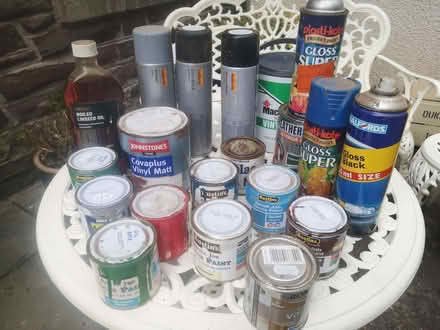 Photo of free Paints (Sunnylaw FK9) #1