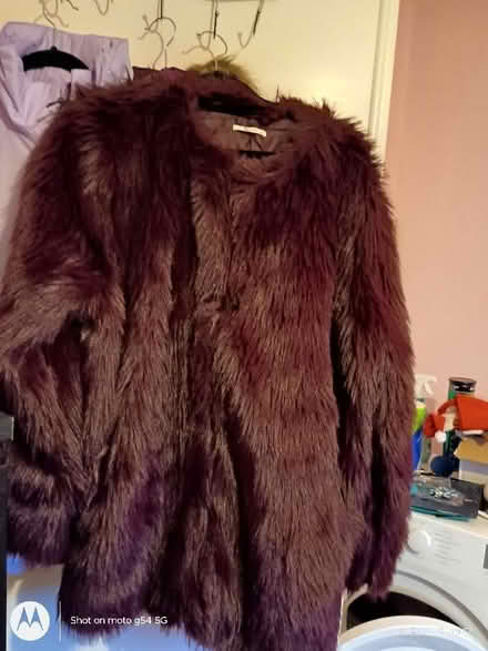 Photo of free furry jacket (Drylaw EH4) #1