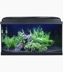 Photo of Fish Tank (Trench TF2) #1