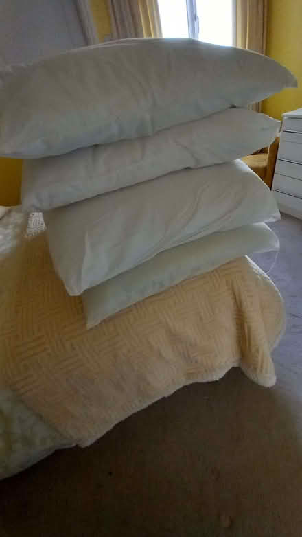 Photo of free Pillows (Llanddulas LL22) #2