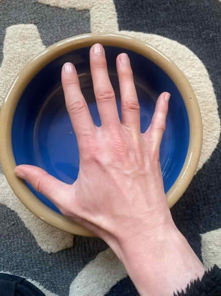 Photo of free Large ceramic dog bowl (N14 Oakwood Park) #2