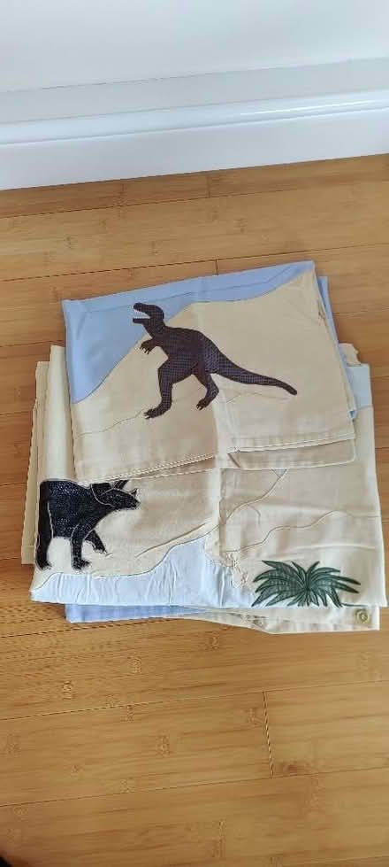 Photo of free Dinosaur single bed duvet set (Willingdon BN20) #1