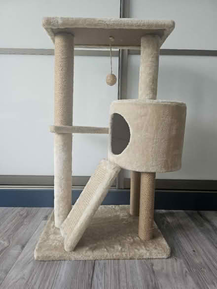 Photo of free Cat tree (TW3) #1