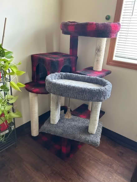 Photo of free used cat trees (North Zanesville) #1