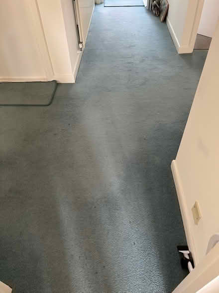 Photo of free Carpet & Underlay (Cooden TN39) #3