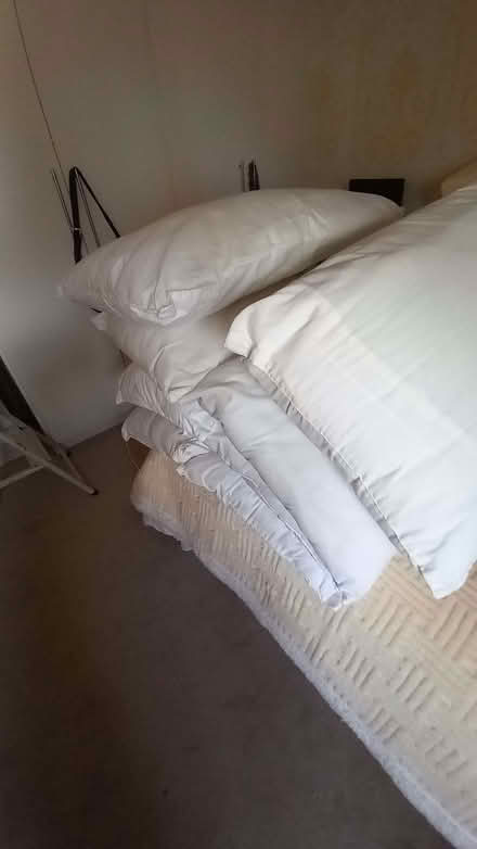 Photo of free Pillows (Llanddulas LL22) #1