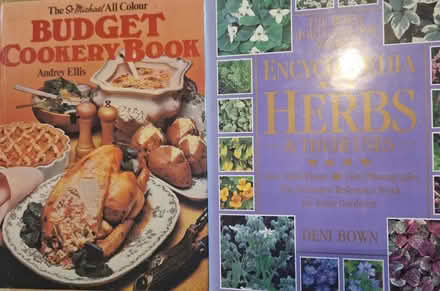 Photo of Vintage or modern Books with pictures (Polegate BN26) #1