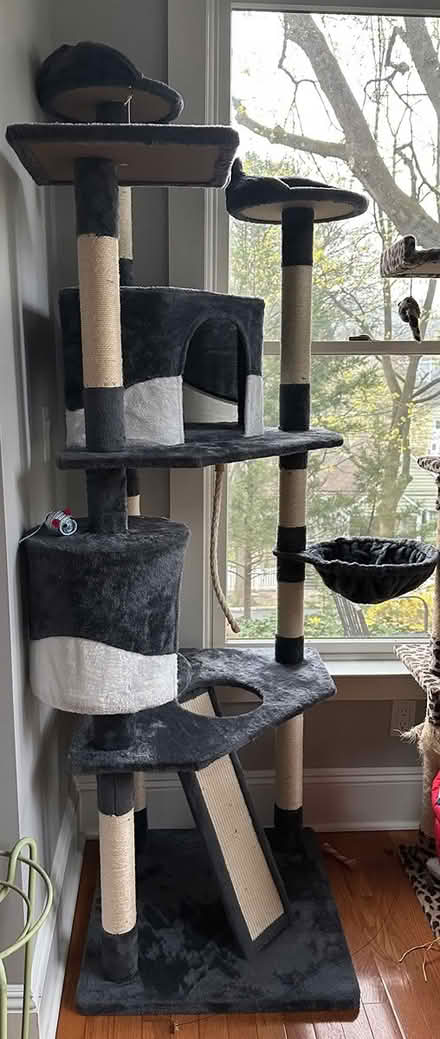 Photo of free Cat Tree (brand new) (Ossining) #1
