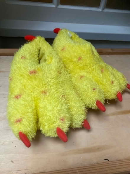 Photo of free FUN DRESS UP! Chick slippers uk adult size 4-6 (St Albans AL3) #1
