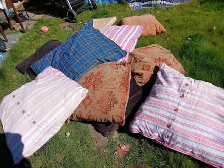 Photo of free cushions (Scottow NR10) #1