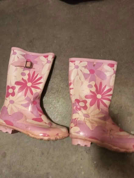 Photo of free Girls wellies (Woking GU22) #1