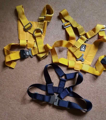 Photo of free Clip -on harnesses (Crowthorne RG45) #1