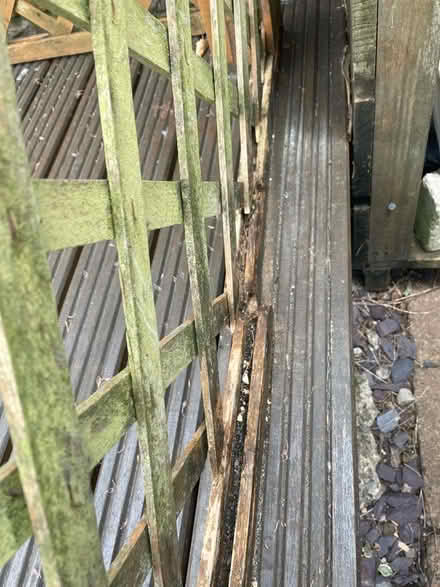 Photo of free Garden diagonal trellis with arch (Hala LA1) #4