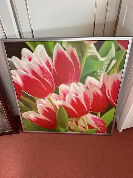 Photo of free Three pictures (Bromham) #2