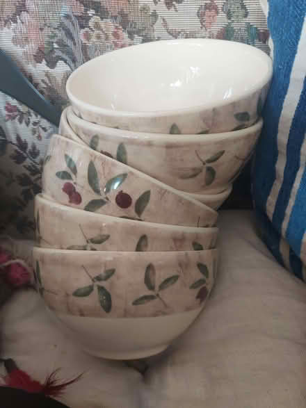 Photo of free Plates and bowls (Weybridge KT13) #2