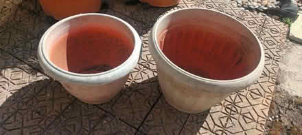Photo of free 2 large plant pots (Bear flat) #1
