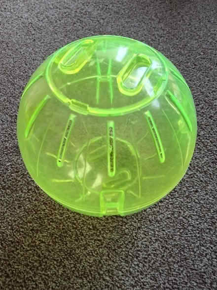 Photo of free Hamster ball (Cam GL11) #1
