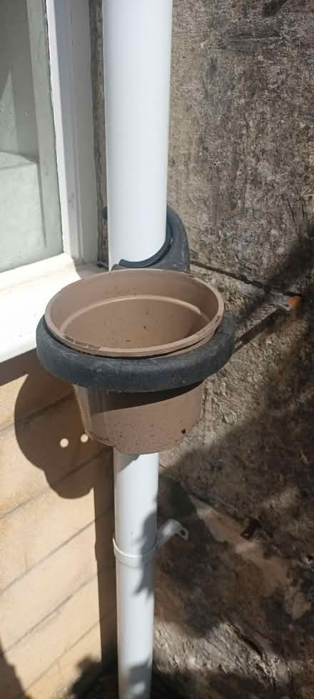 Photo of free Drainpipe plant pot holder (Bear flat) #1