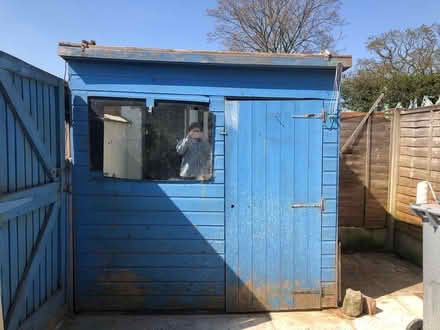 Photo of free Wooden Garden Shed (Calveley CW6) #1