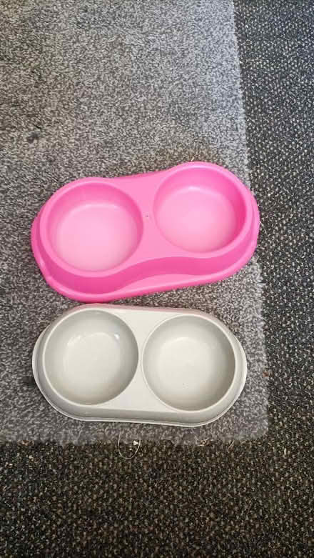 Photo of free Cat bowl (Bethesda LL57) #1