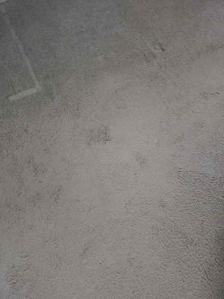 Photo of free Used pale brown carpet 3.3m x 3.1m (Kettering NN15) #1