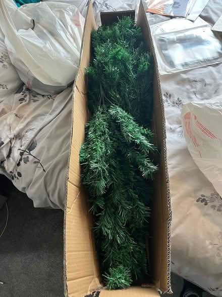 Photo of free Christmas tree (DN11 (New Rossington)) #2