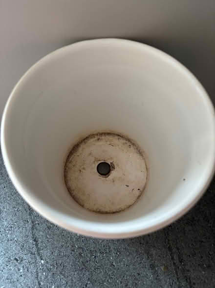 Photo of free Plant pot (Leighton Buzzard LU7) #2