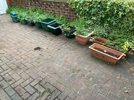 Photo of free Various plastic pots with soil (Didsbury M20) #1