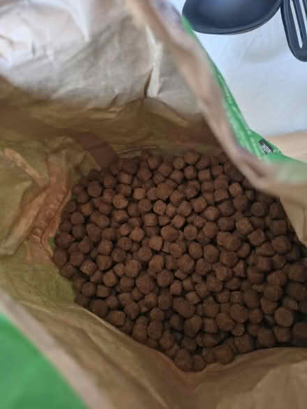 Photo of free Dried Dog Food (Fiveways Brighton) #2