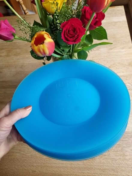 Photo of free 10 reusable picnic/party plates (Barnard's Green WR14) #4