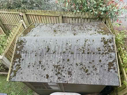 Photo of free Shed Roof & Window (Carlisle CA1) #3