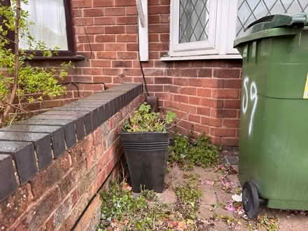 Photo of free Large outdoor plant pot (Cheadle Hulme SK8) #3