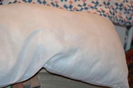Photo of free A very long pillow. (Portobello EH15) #1