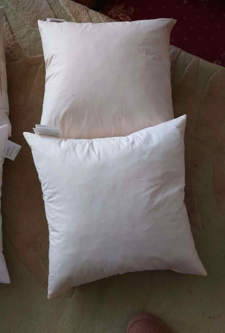Photo of free Feather cushion fillers - 45cm x 45cm (Clerwood EH12) #1