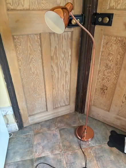 Photo of free Flexible floor lamp (Fen Drayton) #1