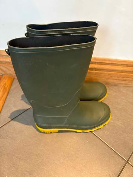 Photo of free Welly boots size 4 (Weybridge) #4