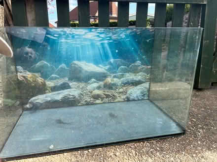 Photo of free fish tank and lights (North Walsham) #1