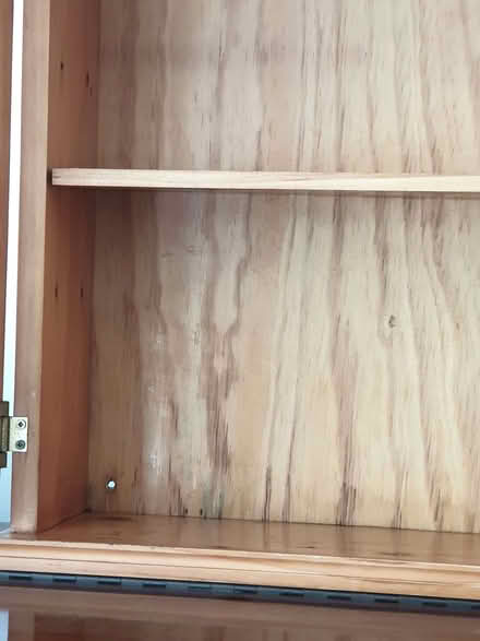 Photo of free Mirrored door cabinet (West Midlands B31) #2