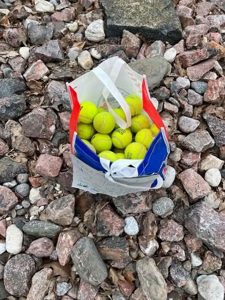 Photo of free Tennis balls - curbside (Kanata Lakes/Beaverbrook) #1