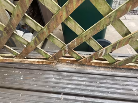 Photo of free Garden diagonal trellis with arch (Hala LA1) #3
