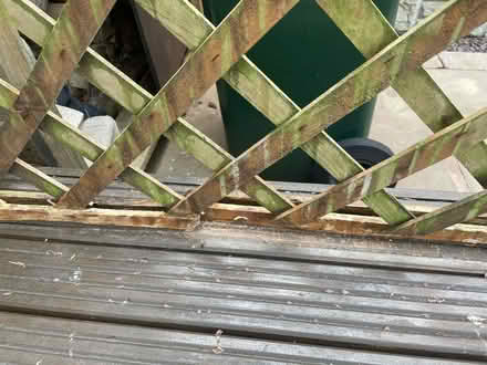 Photo of free Garden diagonal trellis with arch (Hala LA1) #3
