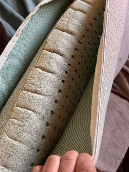 Photo of free Dunlop latex pillow (Bromley BR2) #2